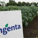 Syngenta