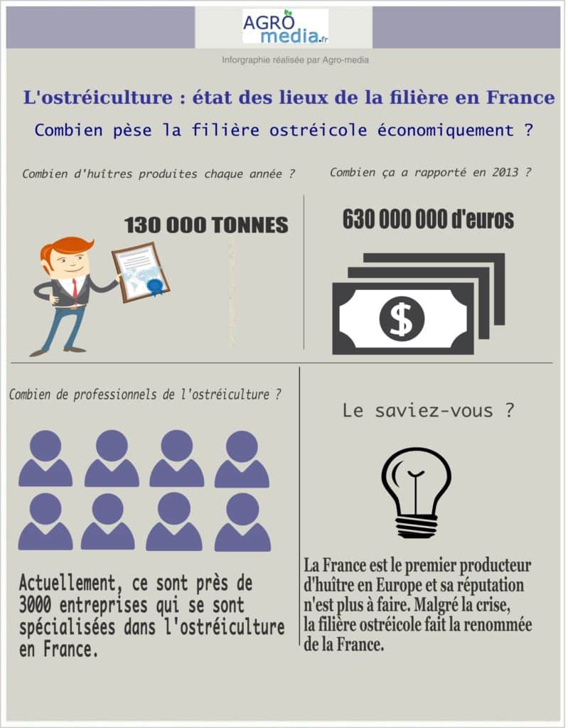 Infographie Ostréiculture