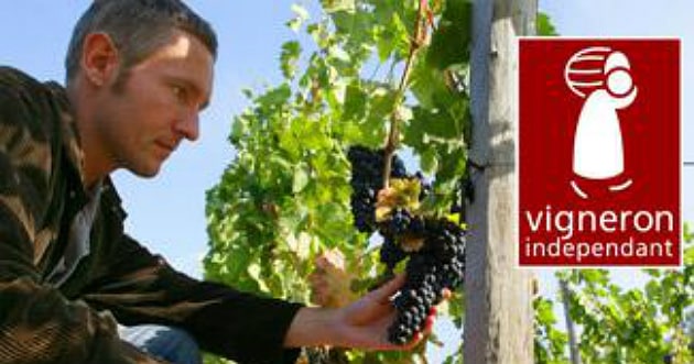 Soufflet Vigne devient partenaire des Vignerons indépendants de France