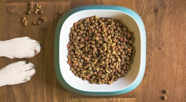 Petfood : Corbion et IQI étendent la distribution d’algues riches en oméga-3 sur les marchés européens