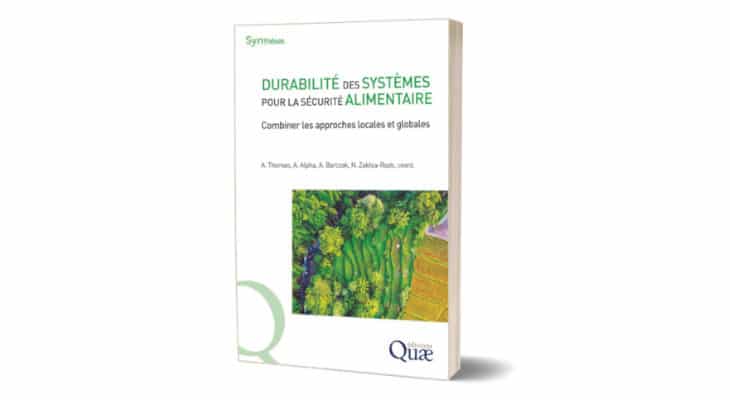 Sécurité alimentaire : Combinaison d’approches locales et globales pour la durabilité des systèmes