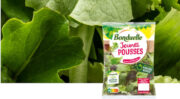 Pour assurer sa pérennité, Bonduelle envisage la cession de son activité de salade en sachet en France et en Allemagne 