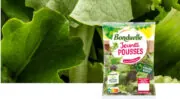 Pour assurer sa pérennité, Bonduelle envisage la cession de son activité de salade en sachet en France et en Allemagne 